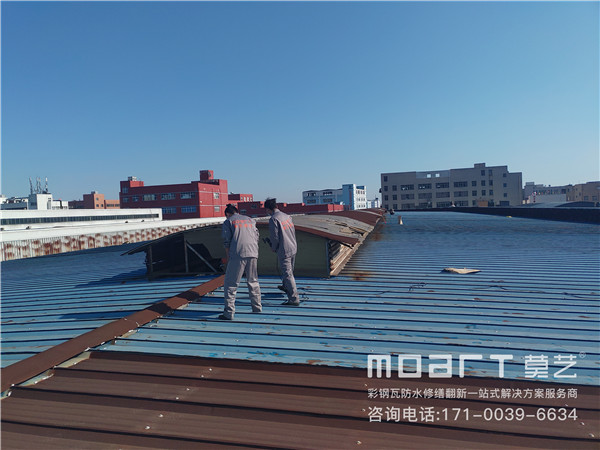 祝贺榴莲视频APP下载建材与温州东风化工机械有限公司达成合作