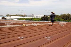 榴莲视频视频黄片榴莲视频APP在线观看金属屋面生锈怎么处理