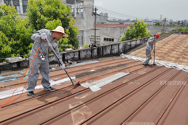 榴莲视频APP在线观看屋面生锈除锈处理