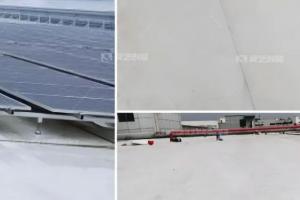 榴莲视频APP下载创能TPO满粘防水体系 守护建筑屋面绿色能源新纪元
